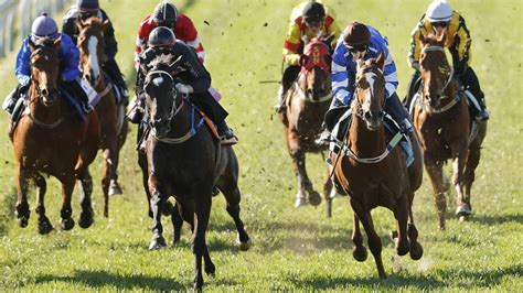 Warwick Farm Barrier Trials (Friday) .